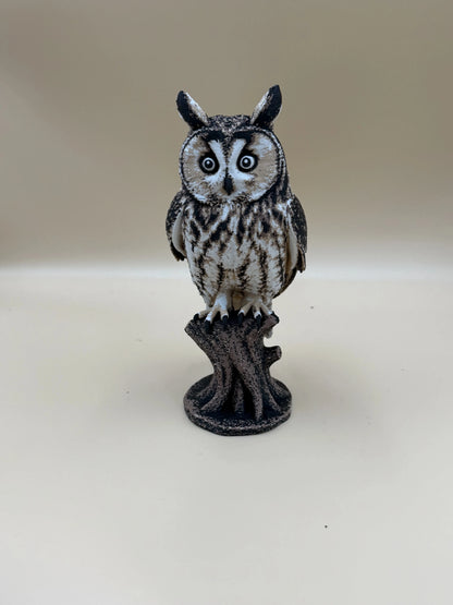 Twilight Sentinel – Long-Eared Owl