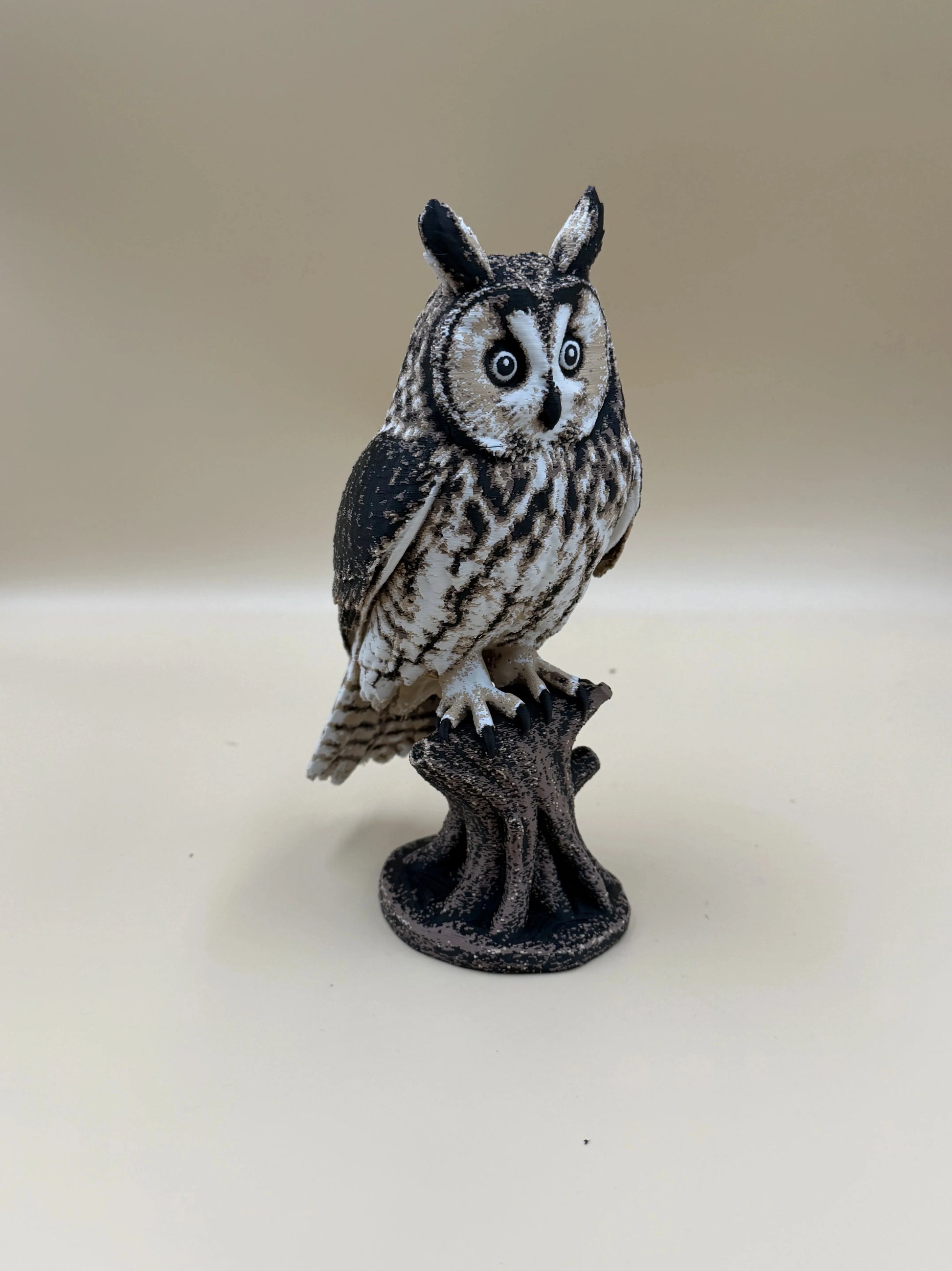 Twilight Sentinel – Long-Eared Owl