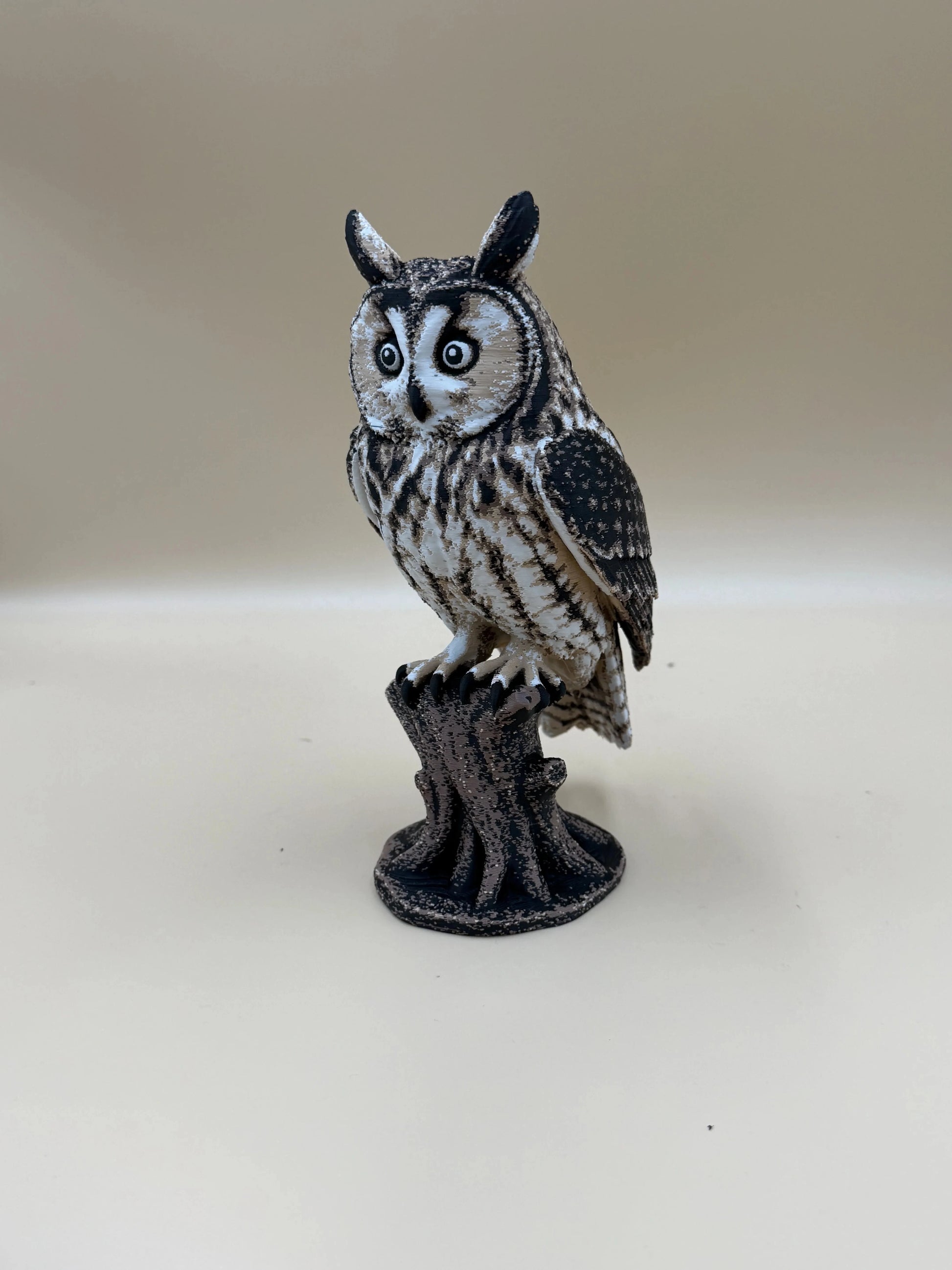 Twilight Sentinel – Long-Eared Owl