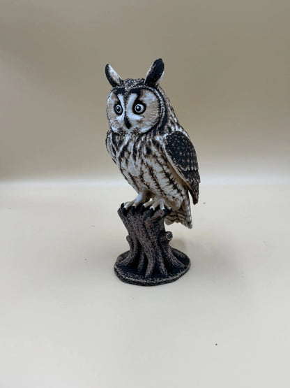 Twilight Sentinel – Long-Eared Owl