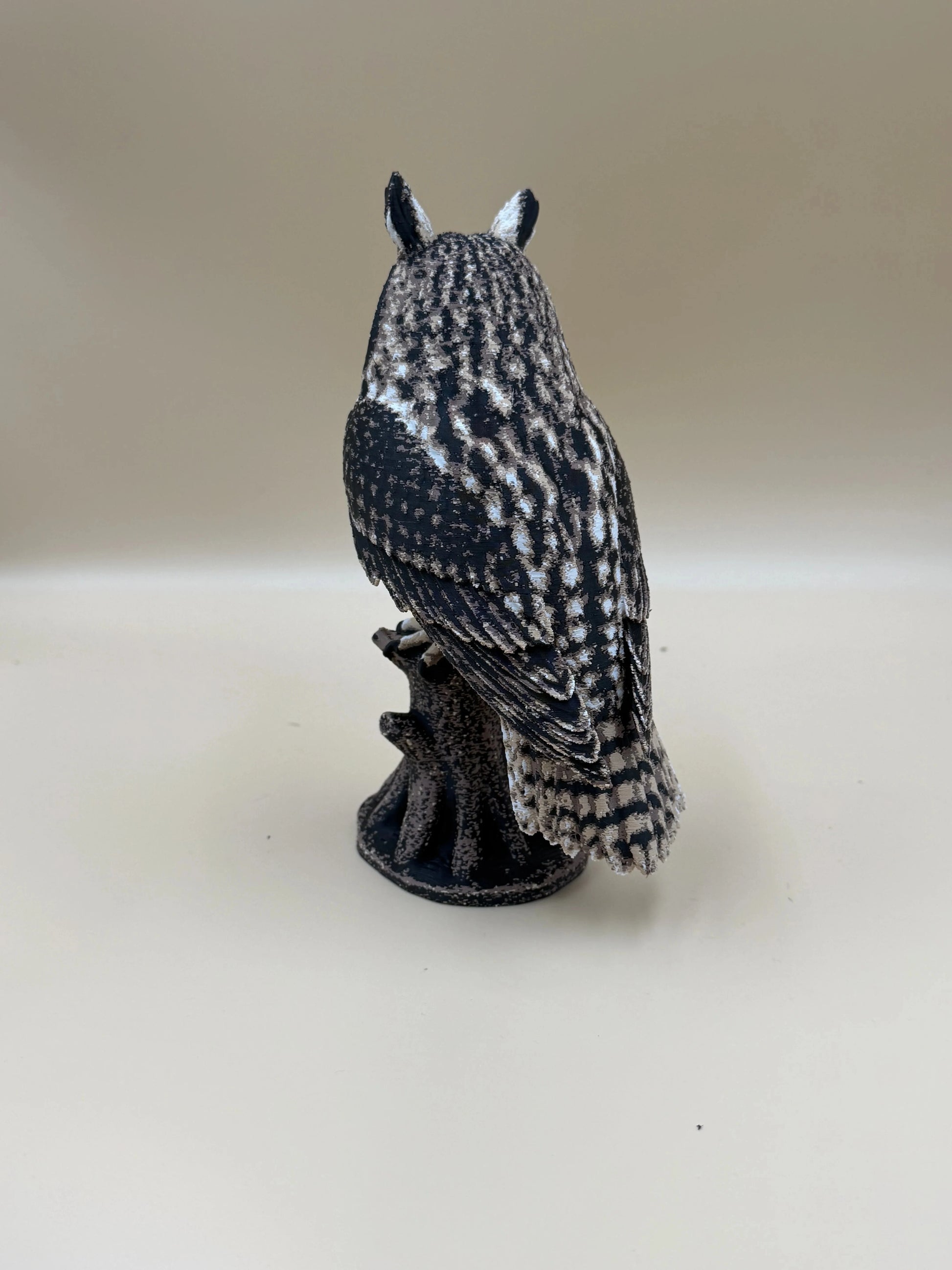 Twilight Sentinel – Long-Eared Owl