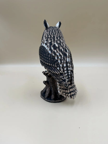 Twilight Sentinel – Long-Eared Owl