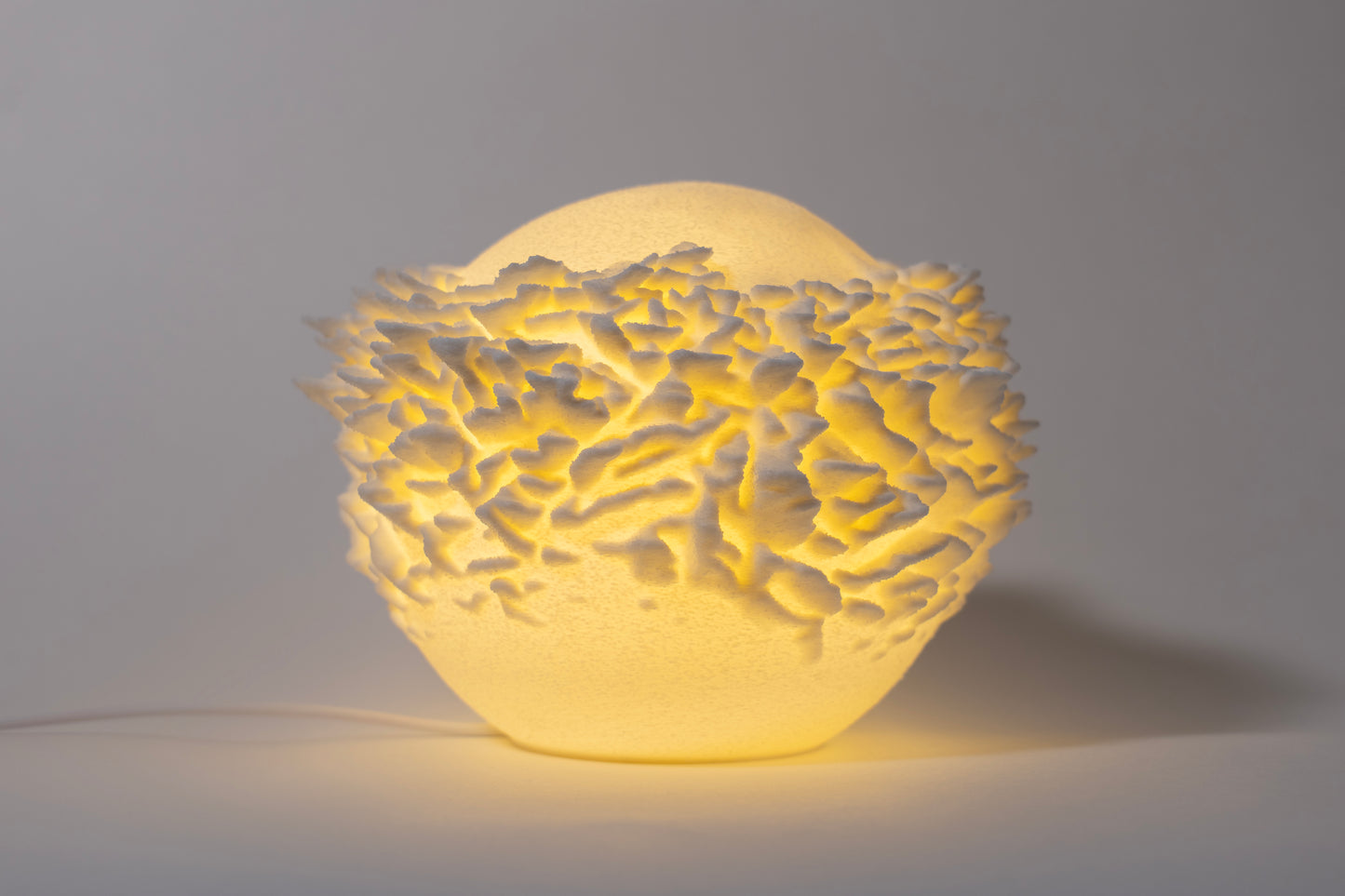 Reef Mini koralová lampa na svetlom pozadí, pohľad spredu