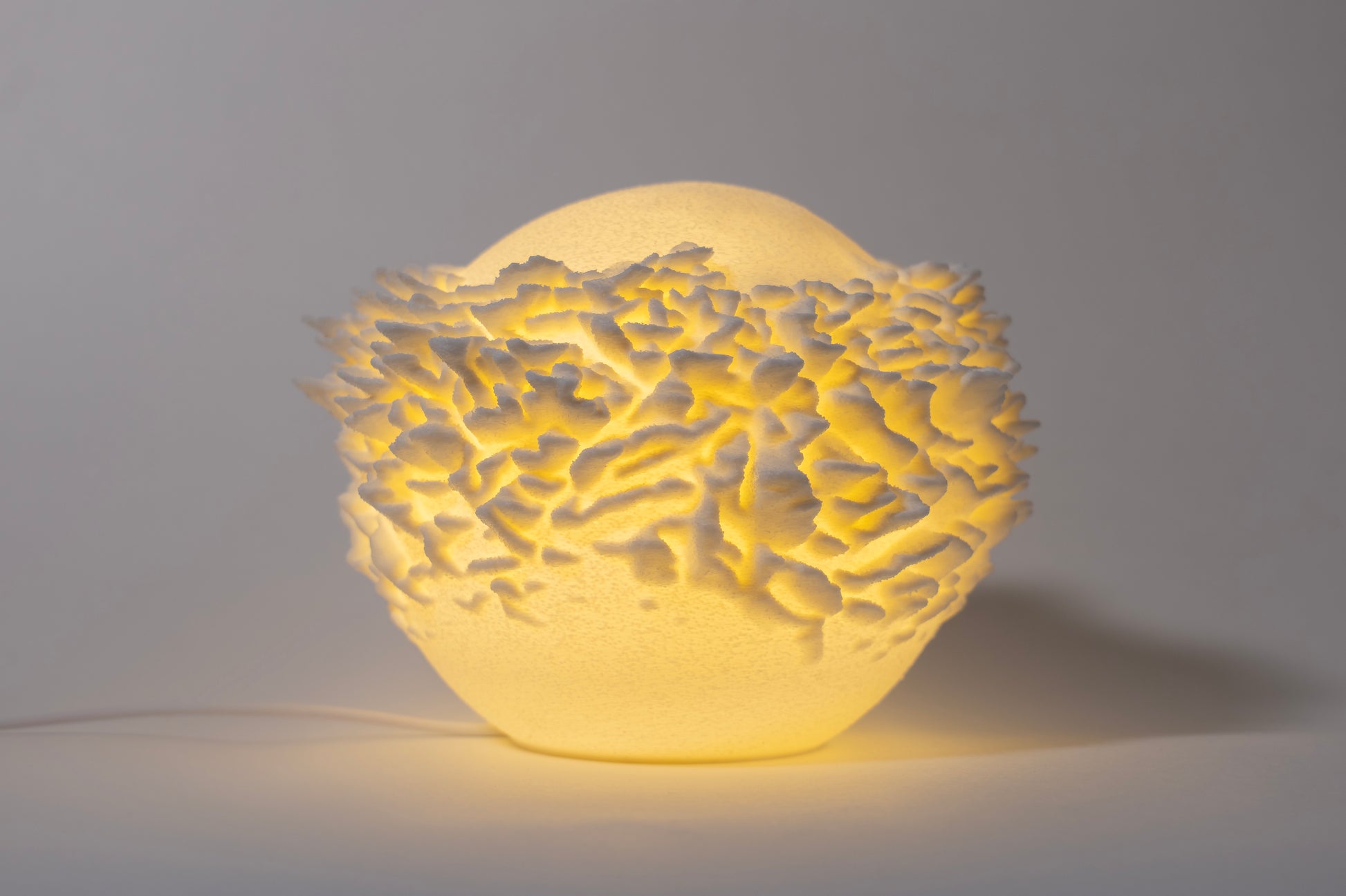 Reef Mini koralová lampa na svetlom pozadí, pohľad spredu