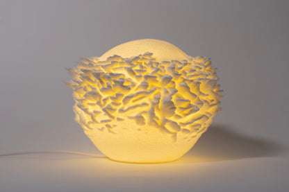 Reef Mini koralová lampa na svetlom pozadí, pohľad spredu