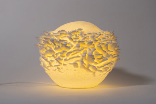 Reef Mini koralová lampa na svetlom pozadí, pohľad spredu