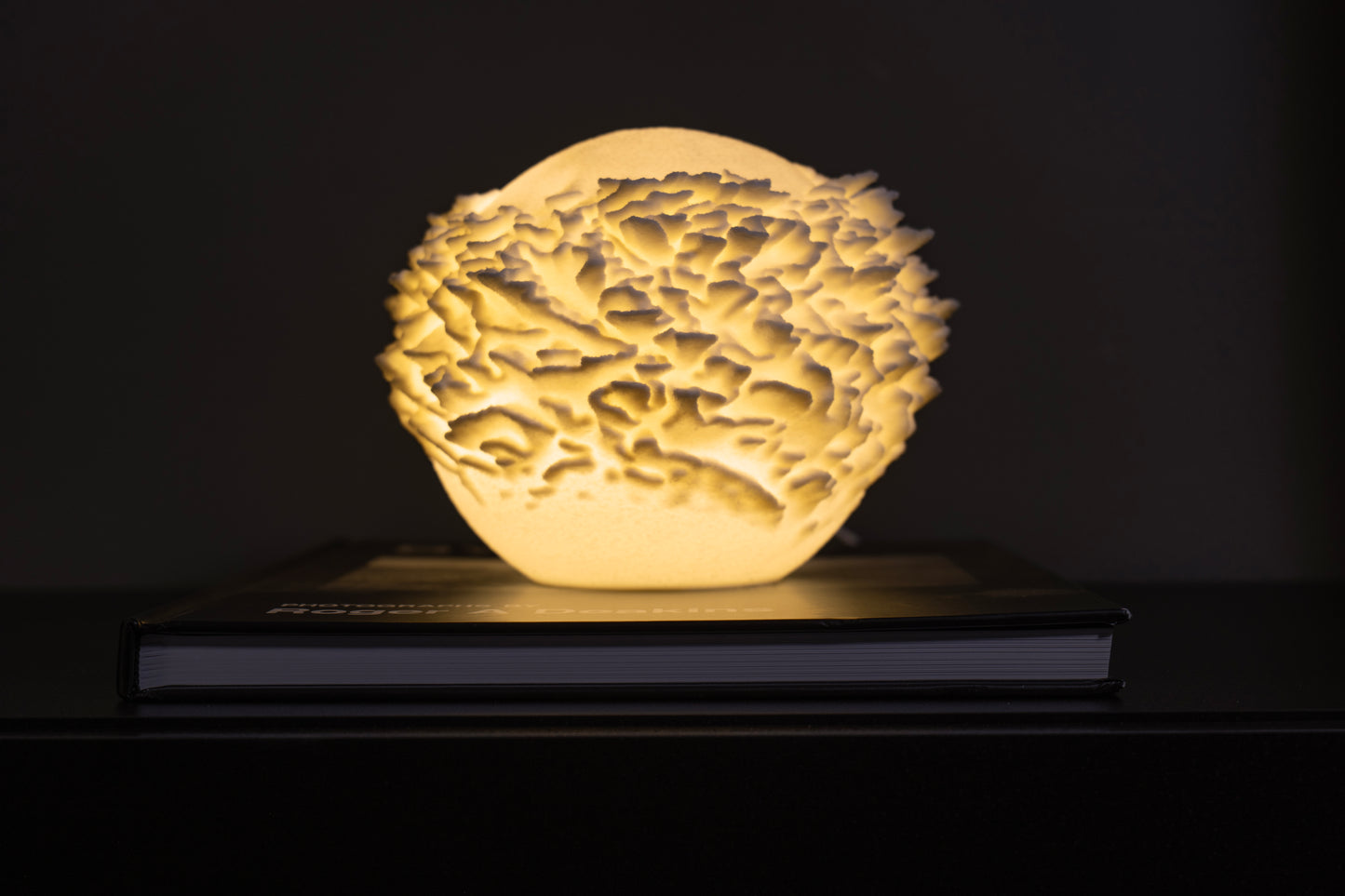 Reef Mini koralová lampa na knihe, tmavé pozadie