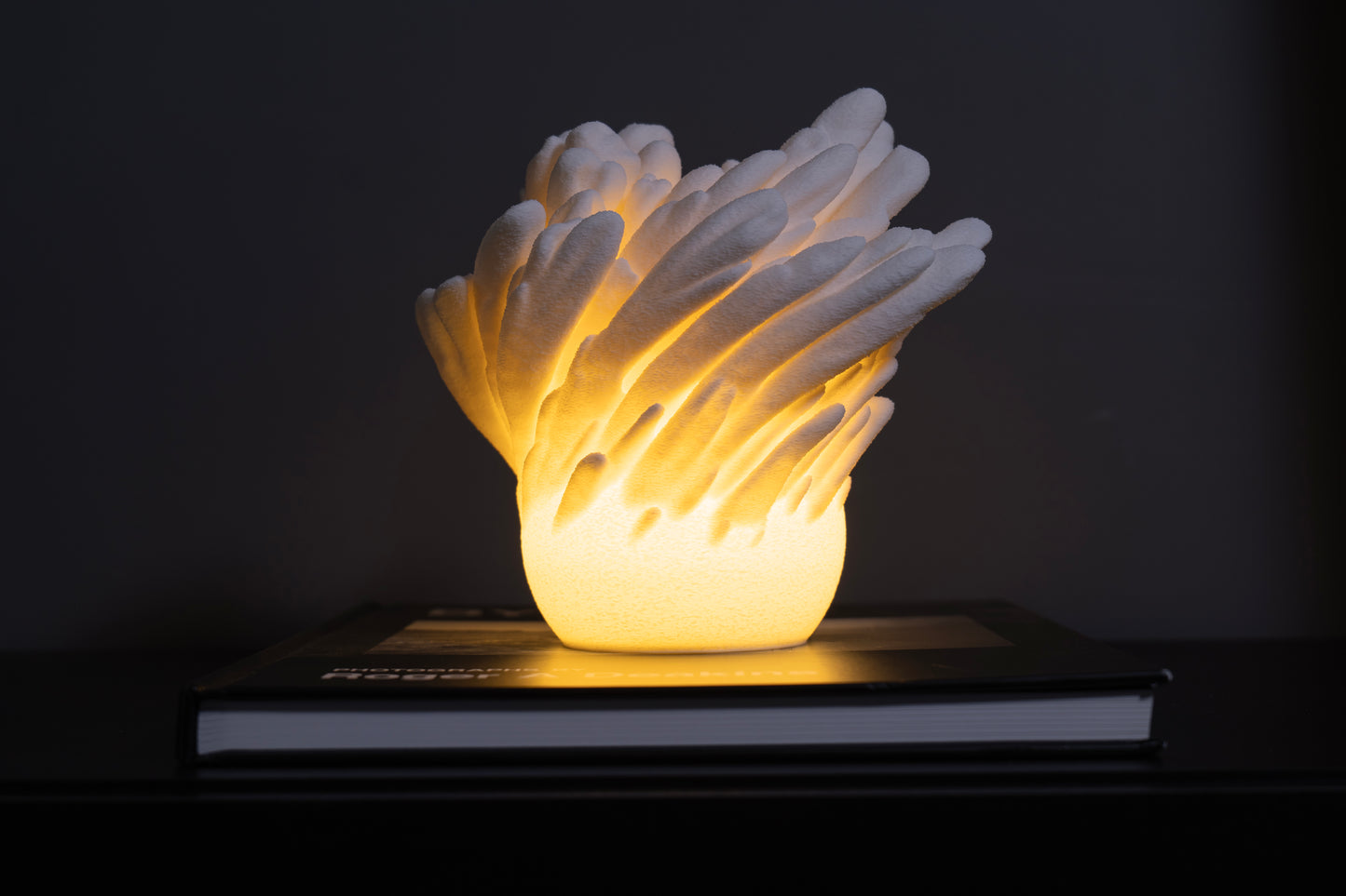 Bloom Mini 04