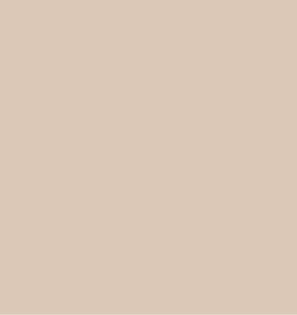 Dark Beige