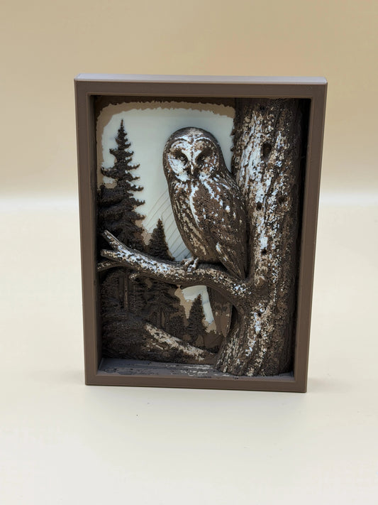 Sova na konári - vrstvený obraz z lesa (Shadow Box)