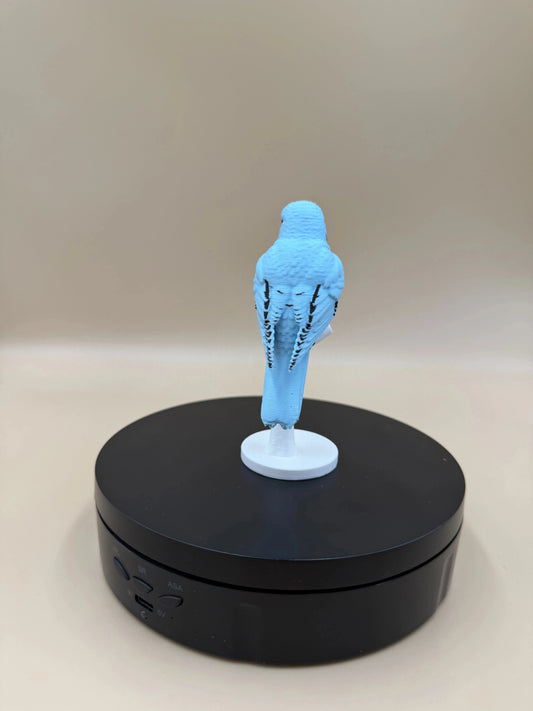 Bluebird na konári