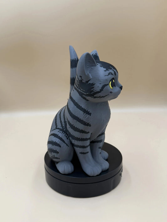 Mačiatko Moonstripe s pruhovaným kožúškom