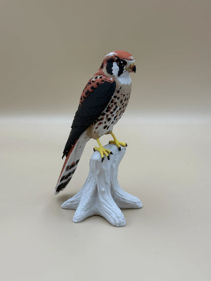 Sokol pestrý (Kestrel) na konári