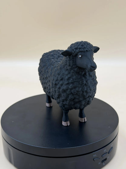 Čierna ovečka Midnight Fleece