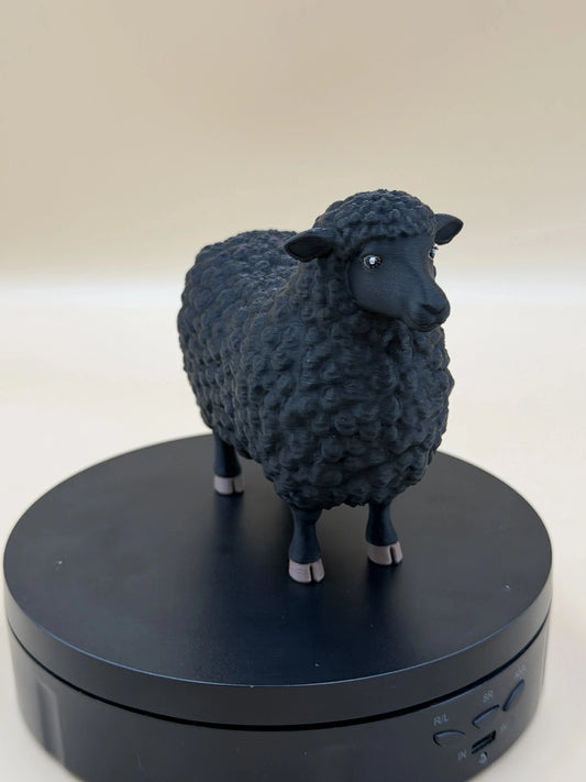Čierna ovečka Midnight Fleece