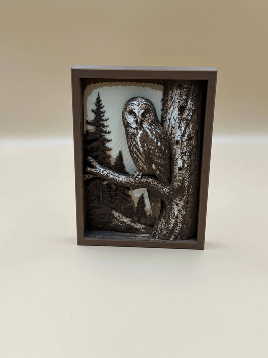 Sova na konári - vrstvený obraz z lesa (Shadow Box)