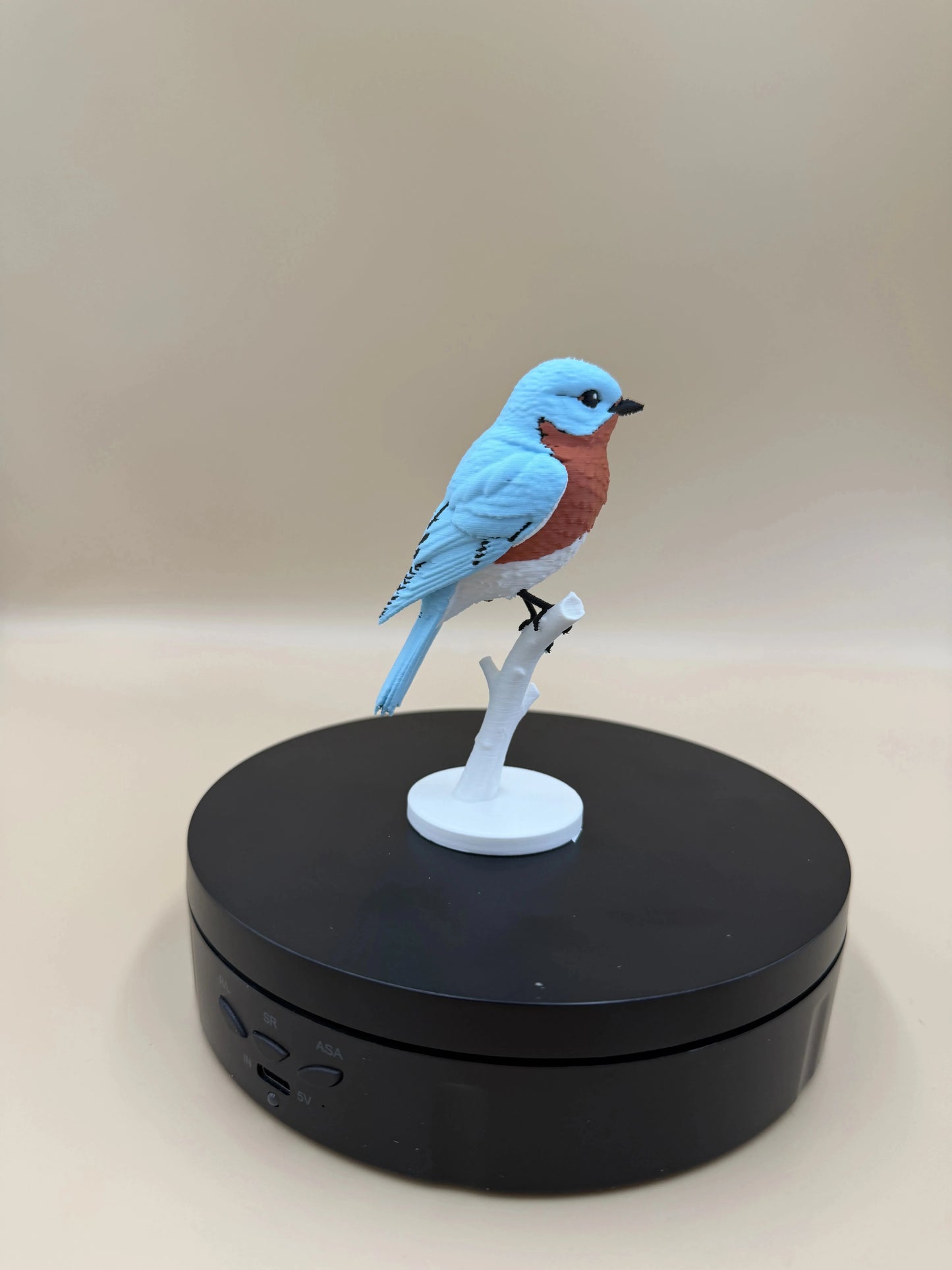 Bluebird na konári