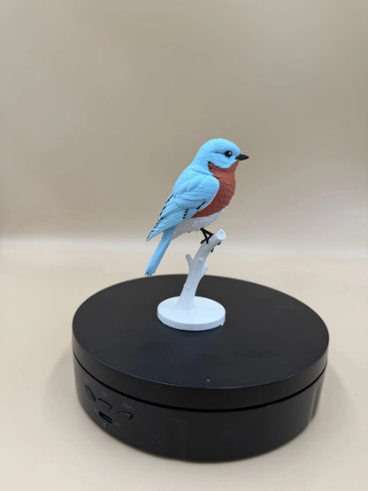 Bluebird na konári