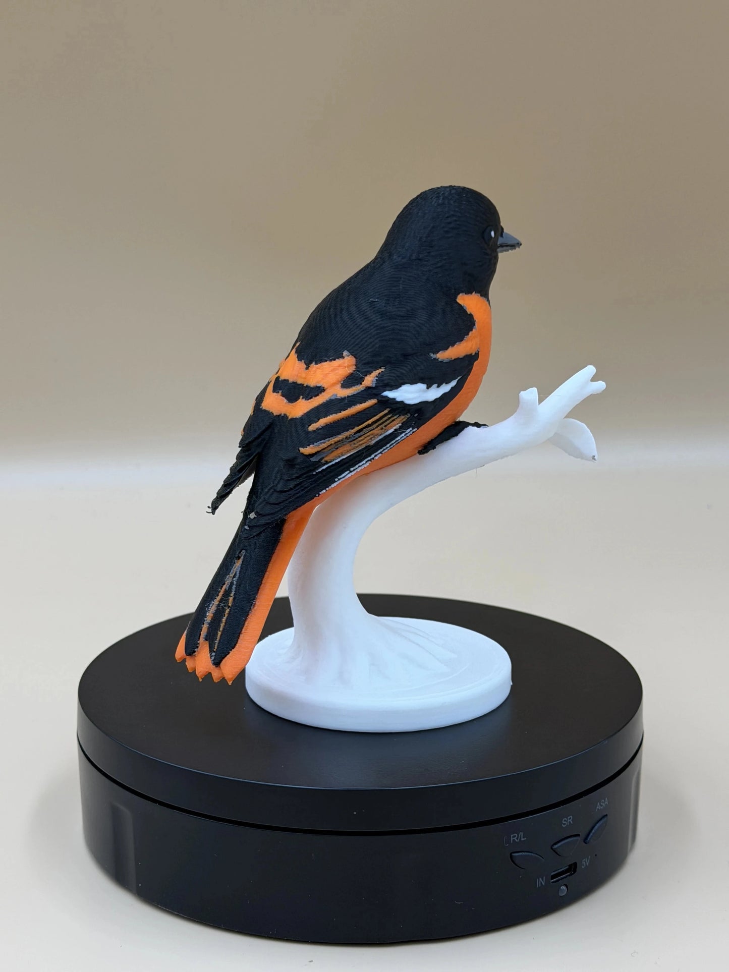 Baltimore Oriole – vtáčik na konári