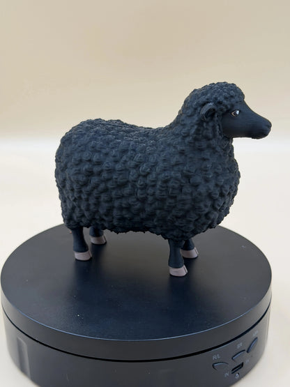 Čierna ovečka Midnight Fleece