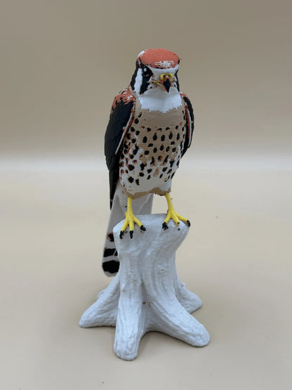 Sokol pestrý (Kestrel) na konári