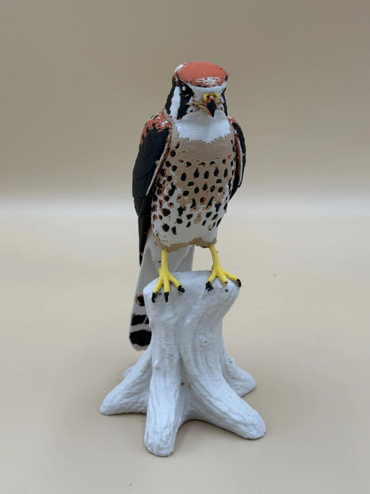 Sokol pestrý (Kestrel) na konári