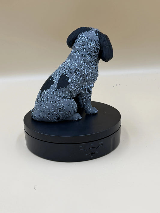 Havanese šteniatko Bella