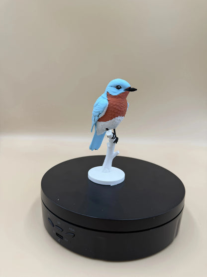 Bluebird na konári