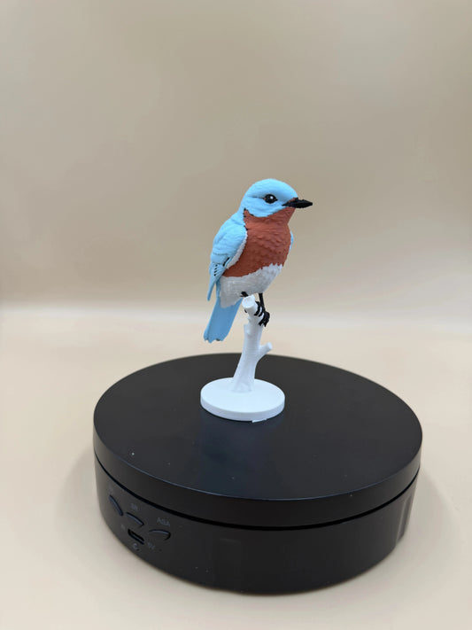 Bluebird na konári