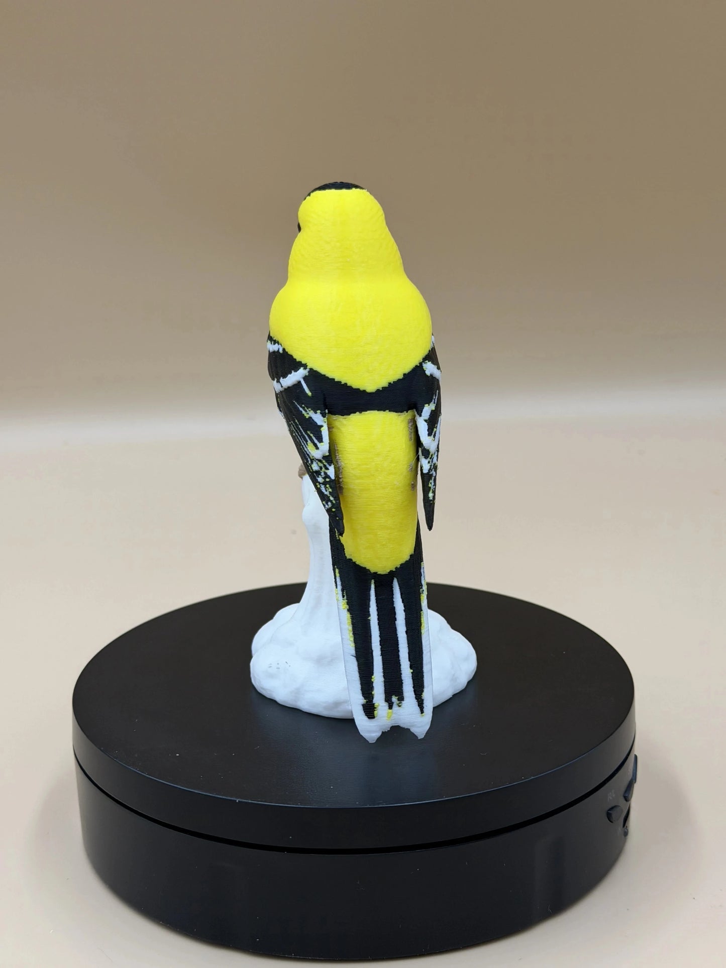 Stehlík čížavý Sunshine (Goldfinch)