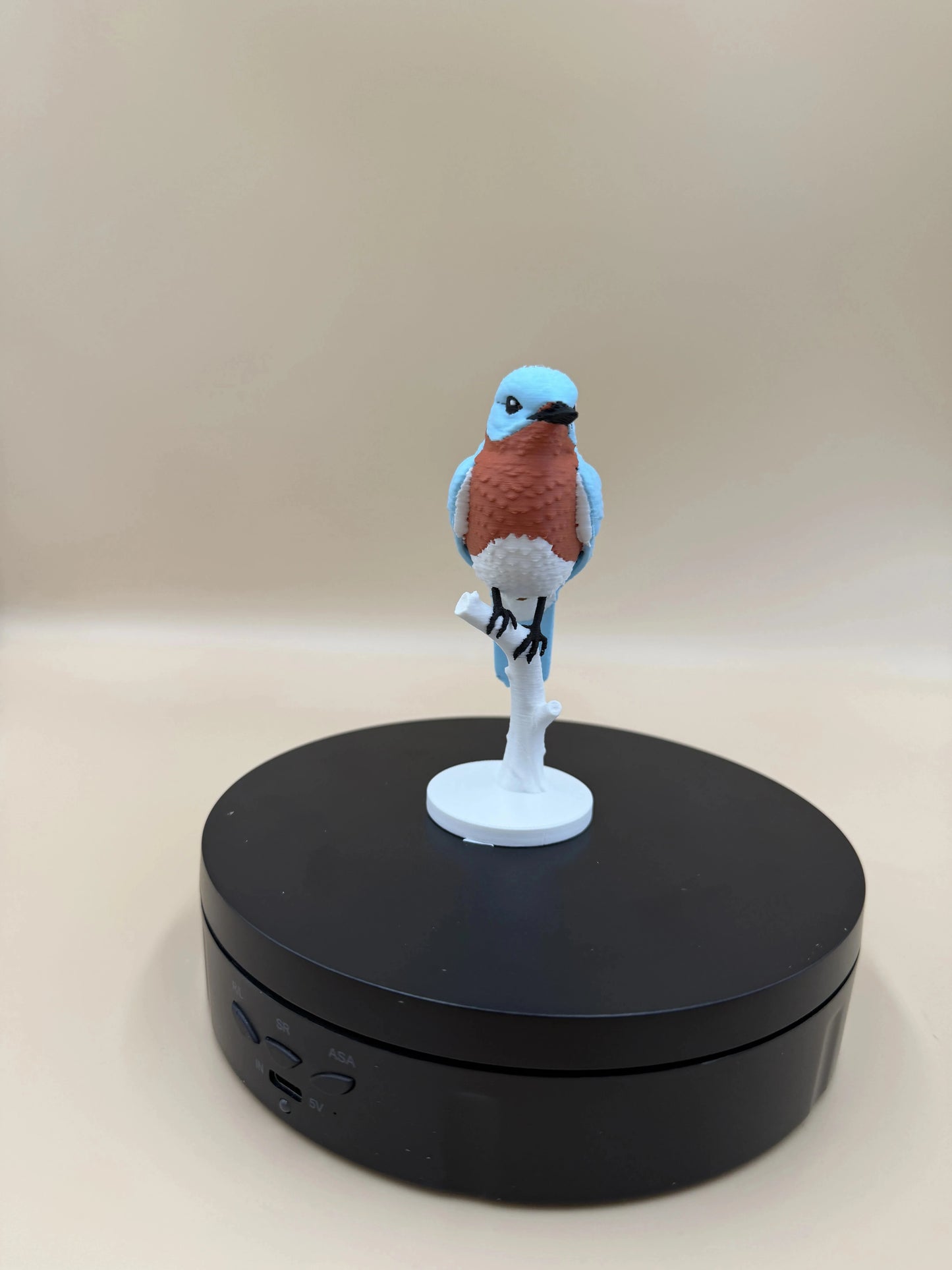 Bluebird na konári