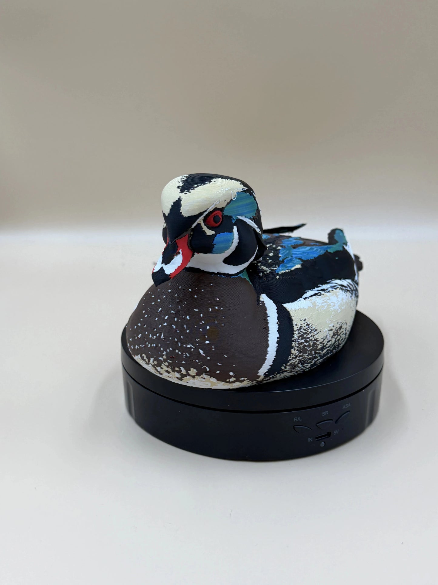 Kačica karolínska Wood Duck