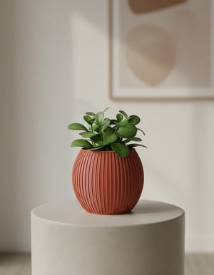 halo · planter