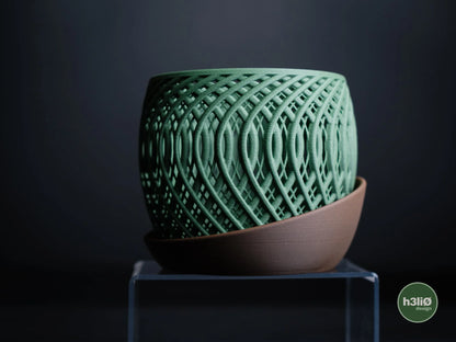 quasar · orchid planter