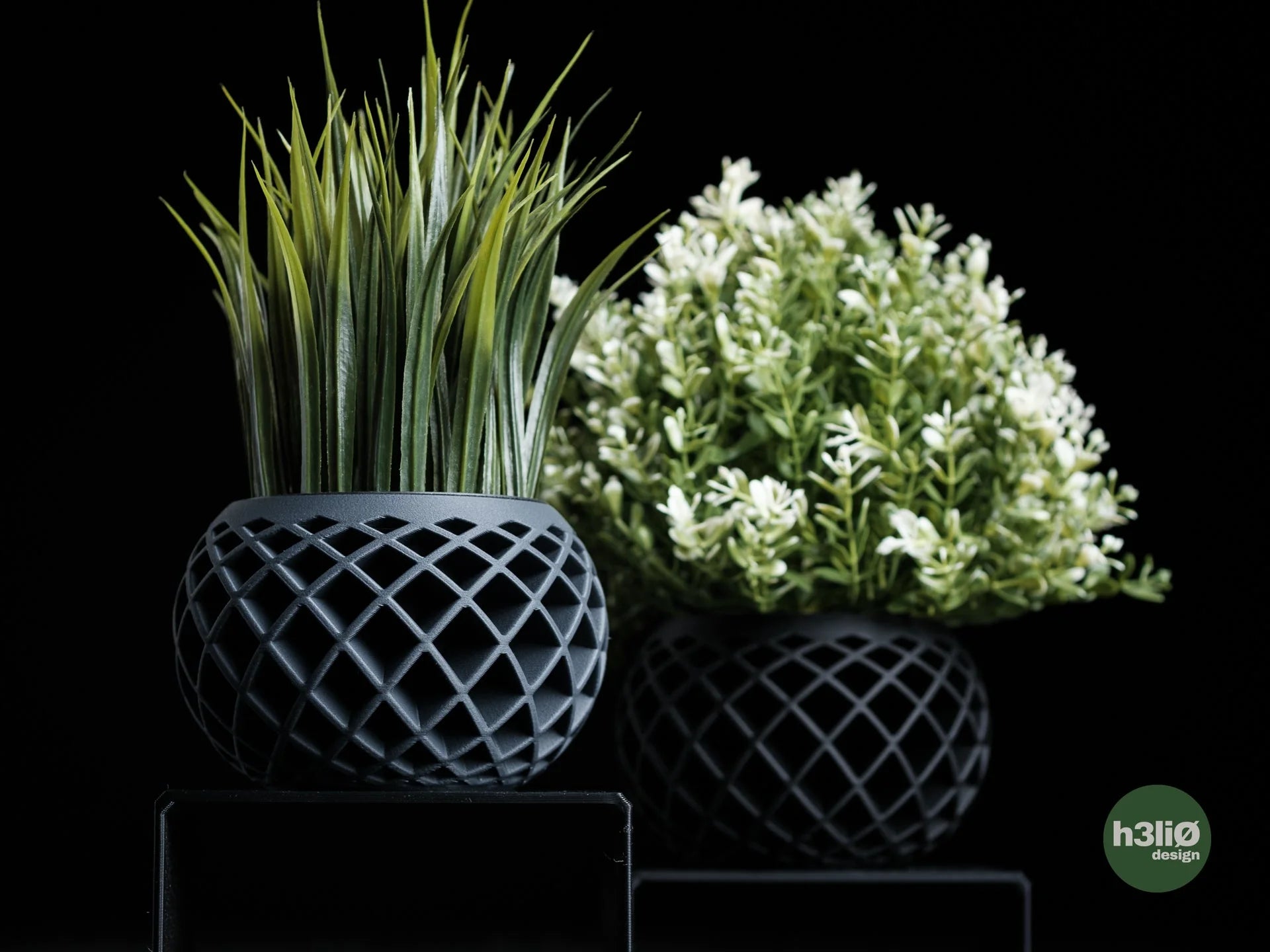 evolve • planter