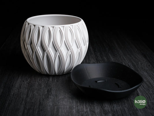 velar • planter