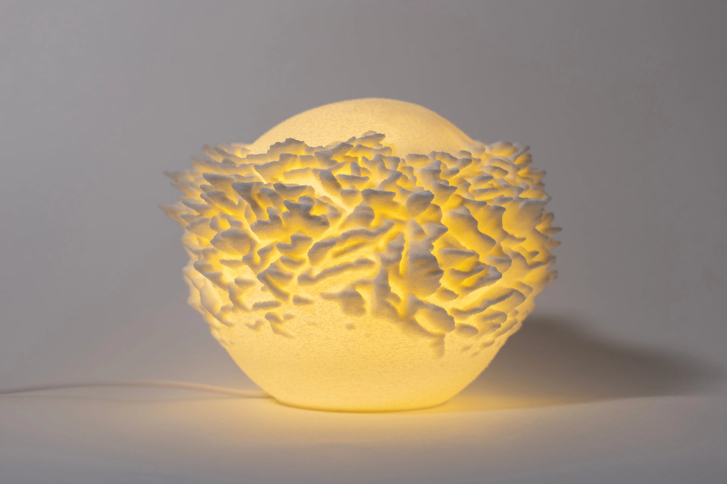 Reef Mini koralová lampa na svetlom pozadí, pohľad spredu