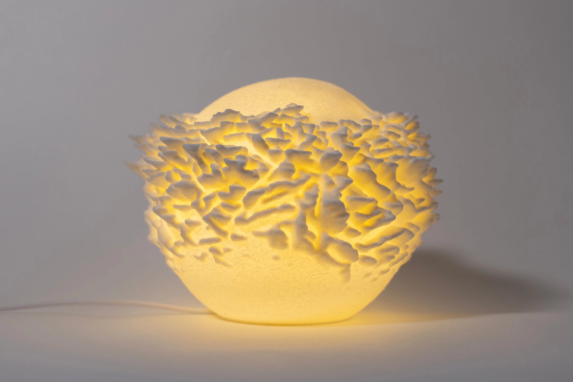 Reef Mini koralová lampa na svetlom pozadí, pohľad spredu