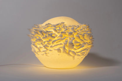 Reef Mini koralová lampa na svetlom pozadí, pohľad spredu