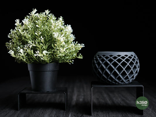 evolve • planter