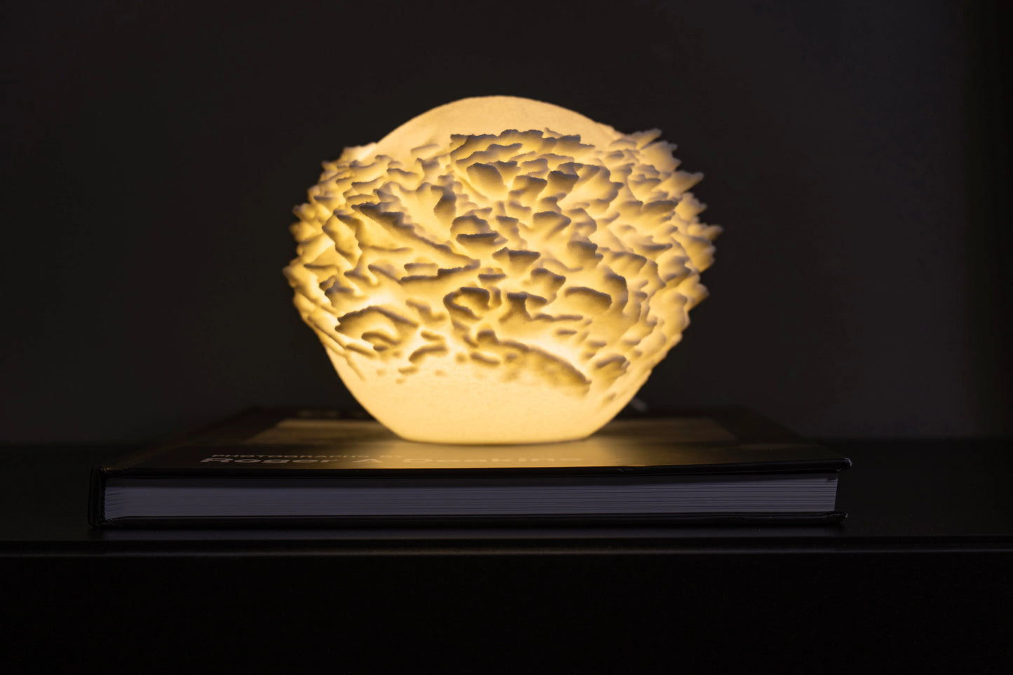 Reef Mini koralová lampa na knihe, tmavé pozadie