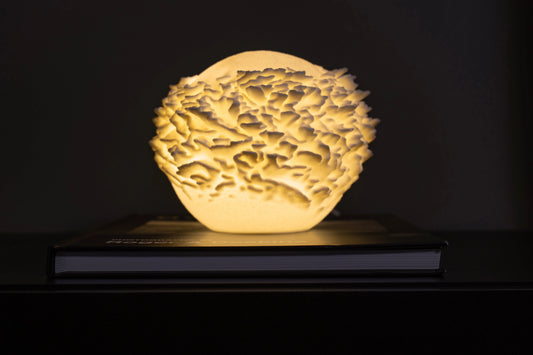 Reef Mini koralová lampa na knihe, tmavé pozadie