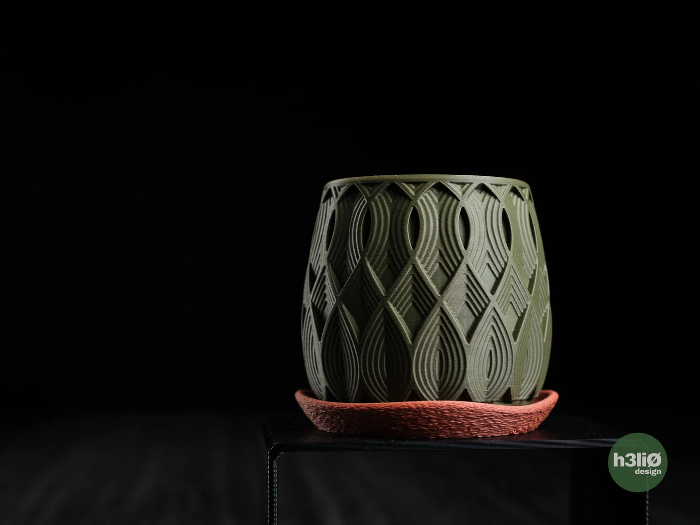 salir • planter