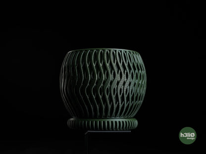briosi • planter
