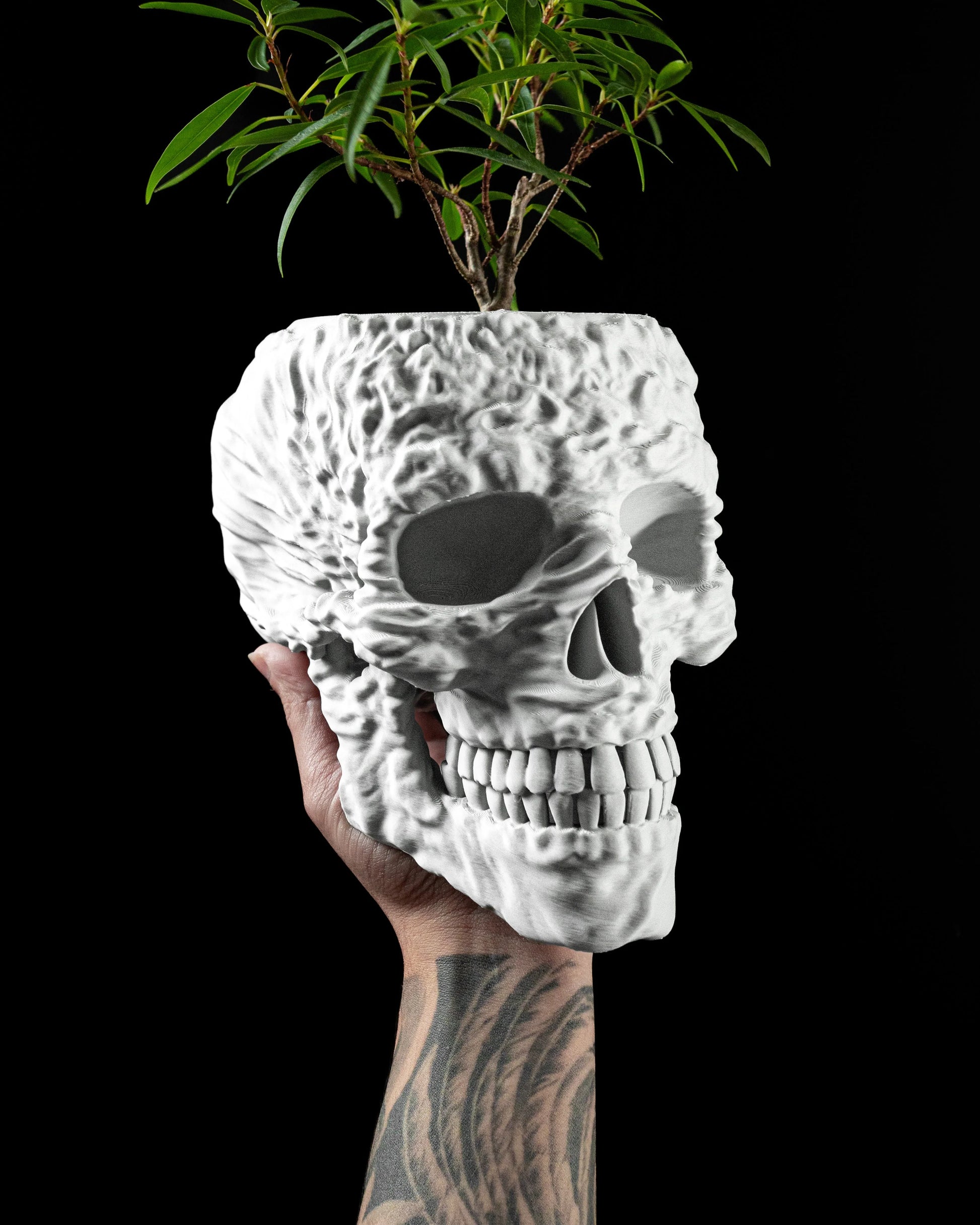 Kvetináč Skull