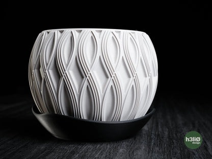 velar • planter