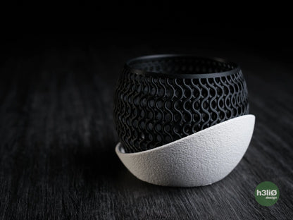 echo • orchid planter