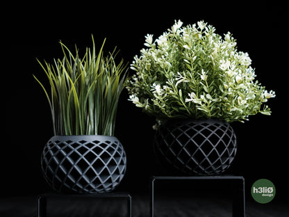 evolve • planter