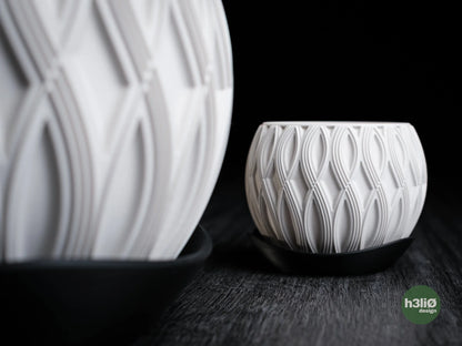 velar • planter