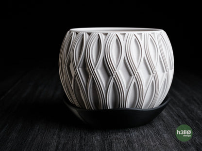 velar • planter
